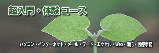 基本・応用・活用・資格所得対策・人材育成・カルチャーまで